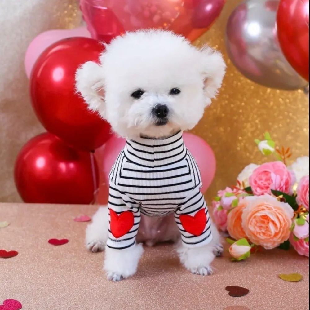 ADORABLE BLACK & WHITE STRIPE PULLOVER DOG SWEATER WITH RED HEART ACCENTS - Picture 6 of 10